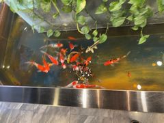 -洞庭家宴·头牌甲鱼(广渠门店)