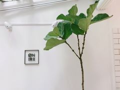 -Onirii Coffee(长乐路店)