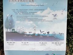 -同里国家湿地公园