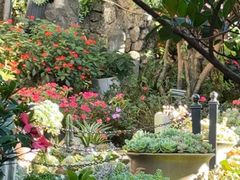 -山菌美食苑(振兴路店)