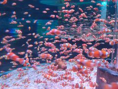 -海合安成都极地海洋公园