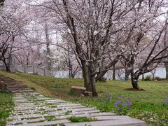 -苏州上方山国家森林公园