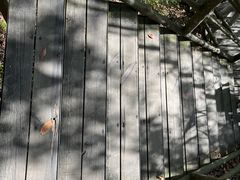 -东天目山风景区