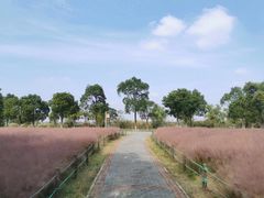 -南湖湿地公园