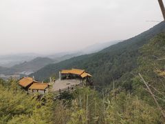 -铁山坪森林公园