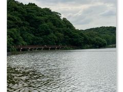 -重庆彩云湖湿地公园