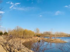 -东郊湿地公园