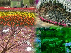 -石家庄市植物园