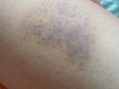 -天津医科大学第二医院