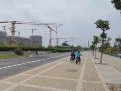 -春花秋色城市公园