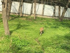 -西安秦岭野生动物园