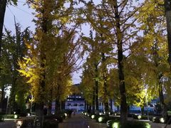 -百林公园-两江幸福广场
