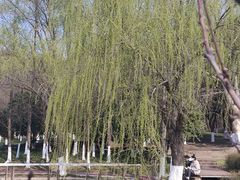 -太子山公园(园东路)