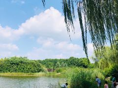 -郑州植物园