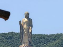 -中原大佛景区