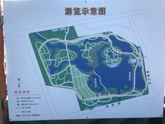 -大兴滨河森林公园