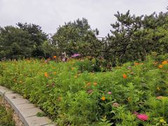 -廊坊市自然公园