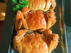 -德川家日本料理(中关村寰太大厦店)