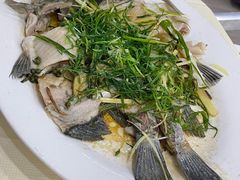 -凯盈阁私房菜·桑拿鸡(绿茵花园店)