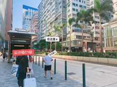 -珍妮曲奇聪明小熊(尖沙咀店)