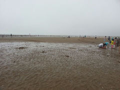 android_upload_pic-刘家湾赶海园