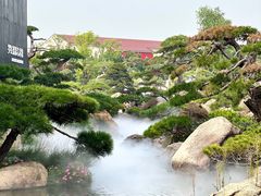 -罗红摄影艺术馆