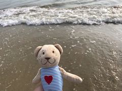 -三亚湾海居铂尔曼度假酒店