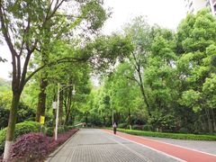 -龙头寺公园