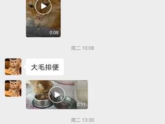 -喜多萌中农锦绣动物医院24H·猫科·牙科MRI·CT