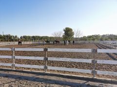 -月河湾马术俱乐部(朝阳店)