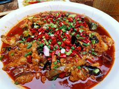 -龙翔山庄雷鸡肉(青城后山泰安古镇店)
