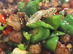 -煲来饱去冷水鱼