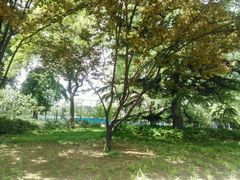 -中央民族大学