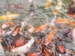 -兰溪地下长河