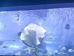 -重庆欢乐海底世界