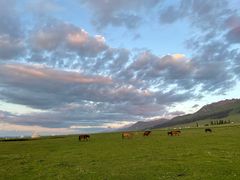 -新疆那拉提国家旅游度假区