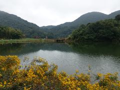 景点-广州市石门国家森林公园