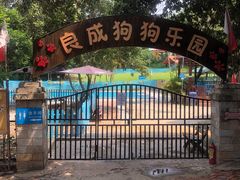 -良成狗狗乐园