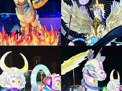 -海合安武汉极地海洋公园