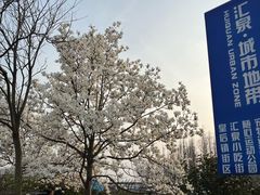 -汇泉广场