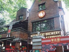 -Boxing Cat Brewery拳击猫精酿啤酒馆(永福店)