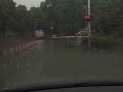-无忧学车·大众驾校(长宁校区)