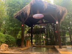 -崇阳三特浪口温泉