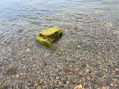 -抚仙湖禄充风景区