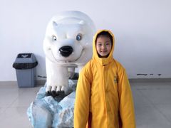 -芜湖新华联大白鲸海洋公园