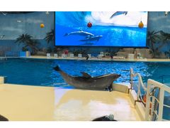 -泉城欧乐堡海洋极地世界