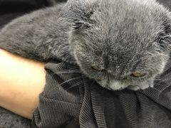 -佳雯宠物医院(四明中路分院)