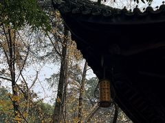 -成都杜甫草堂博物馆