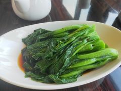 白灼菜心-湛江民大喜来登酒店-采悦轩中餐厅