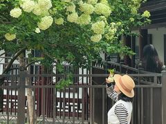 -常熟方塔园